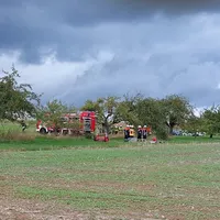 e4d85092-0623-48a0-a084-7b297a0a64c9.jpeg